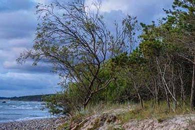 Ethereum's Fusaka Upgrade & Sui's $80M Token Unlock: The Data & What Comes Next