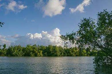 Ethereum's Fusaka Upgrade & Sui's $80M Token Unlock: The Data & What Comes Next