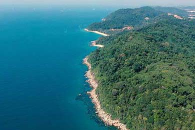 Rocket Launch Today: What actually launched from Florida, and who's behind the hype